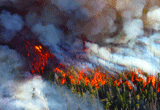 Image for Are you prepared for another smoky summer?